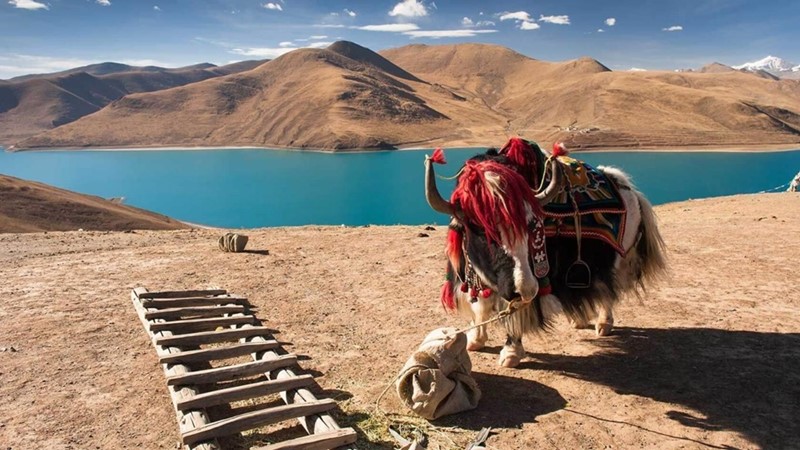 Tây Tạng có khung cảnh thơ mộng
