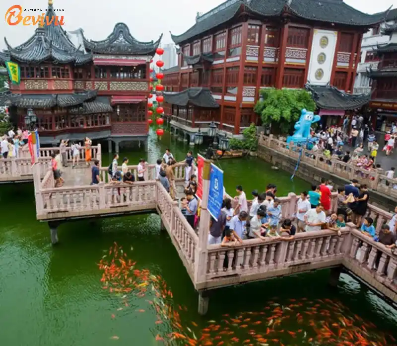 Góc nhìn tại Vườn Dự Viên Vườn Dự Viên là một trong những khu vườn cổ nổi tiếng nhất Thượng Hải