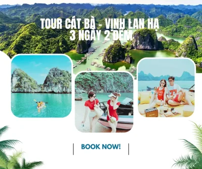 TOUR CÁT BÀ - VỊNH LAN HẠ 3 NGÀY 2 ĐÊM