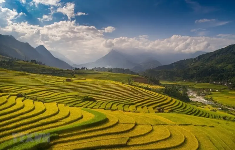 Thung lũng Mường Hoa tuyệt đẹp qua những cánh đồi ruộng bậc thang độc đáo Thung lũng Mường Hoa