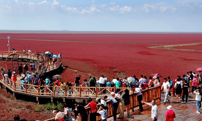 Bãi biển đỏ Panjin thu hút nhiều khách tới thăm