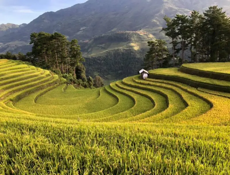 Đồi Móng Ngựa độc đáo