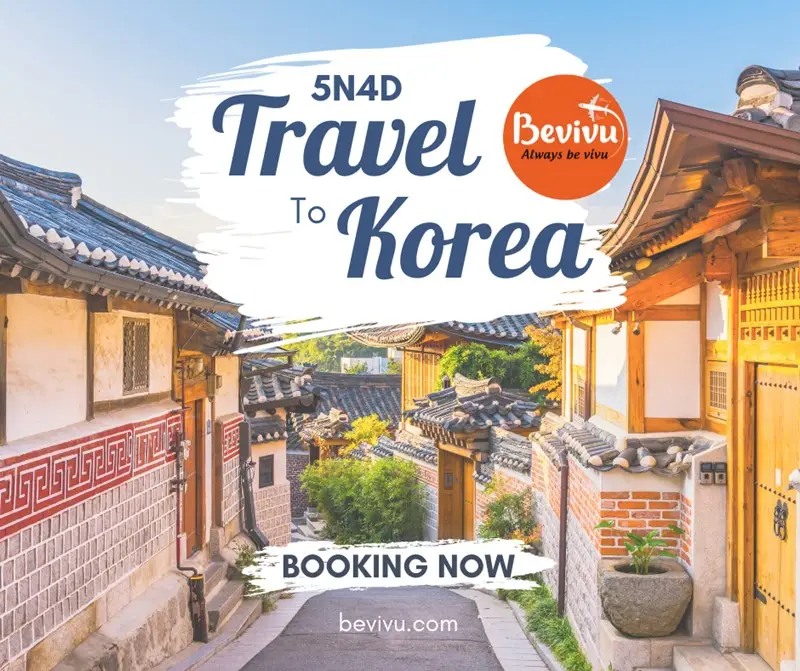 Đặt Tour Hàn Quốc tại website của Bevivu nhé! Tour 5N4Đ đi Hàn Quốc của Bevivu rất thú vị