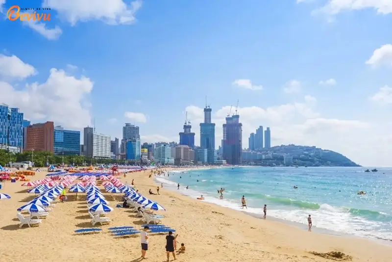 Bãi biển Haeundae xinh đẹp Du lịch Hàn Quốc - Bãi biển Haeundae