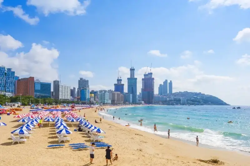 Bãi biển Haeundae xanh mướt Du lịch Hàn Quốc khám phá Bãi biển Haeundae