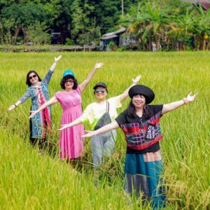 Chụp ảnh cánh đồng lúa