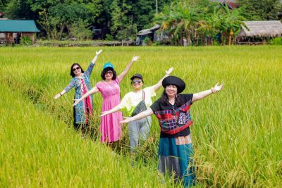 Chụp ảnh cánh đồng lúa