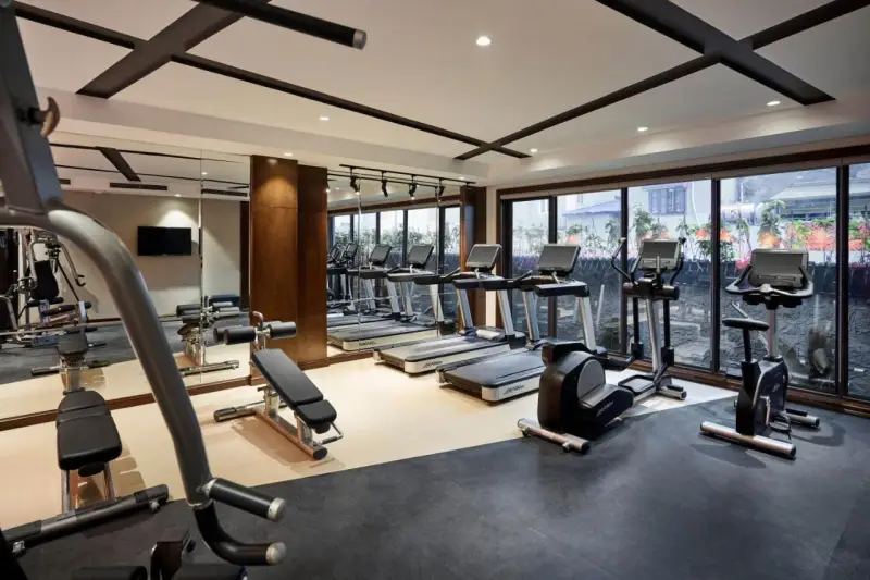 Peridot Grand Luxury Boutique Hotel - gym