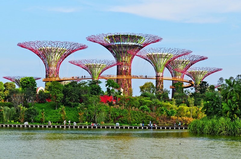 Garden By The Bay là công trình khiến cả thế giới thán phục