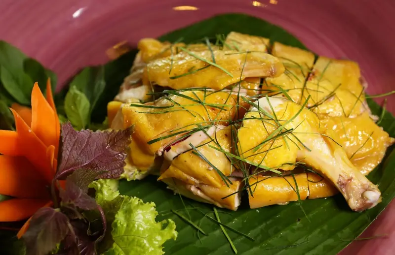 Gà đồi Tiên Yên gà đồi tiên yên rất ngon