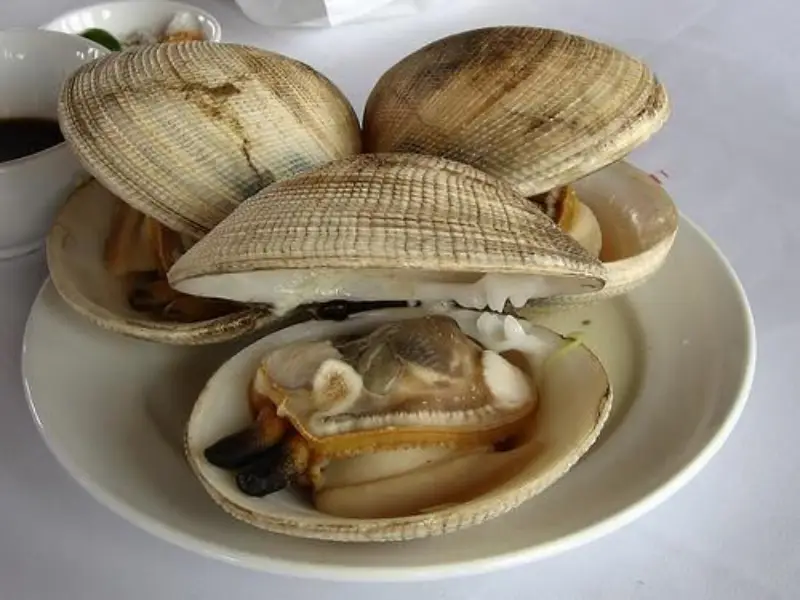 Con ngán con ngán chỉ có ở Quảng Ninh