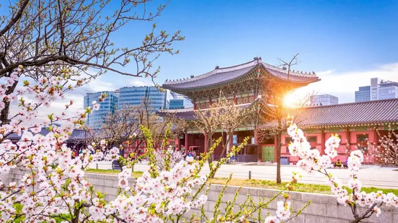 Lên kế hoạch khám phá Hàn Quốc Lên kế hoạch chi tiết cho chuyến đi du lịch Hàn Quốc