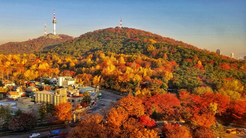 Tháp Namsan chụp vào mùa thu