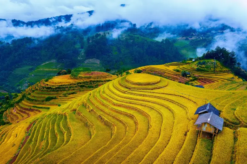 Mù Cang Chải đẹp đẽ