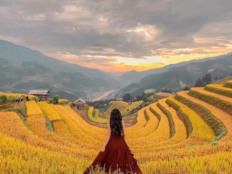 Du lịch Mù Cang Chải