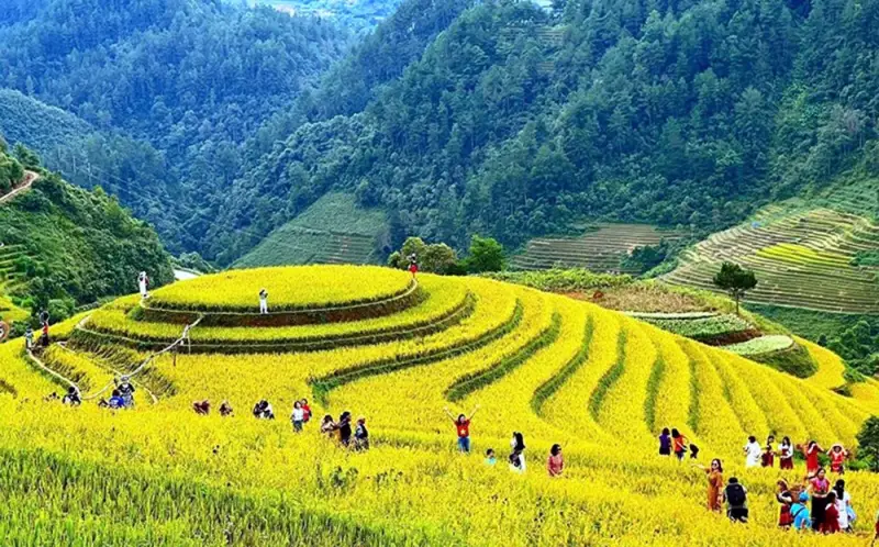 TOUR MÙ CANG CHẢI - NGỌC CHIẾN - TÀ XÙA 3N2Đ