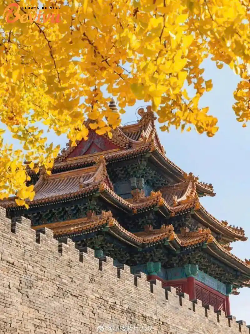 Mùa thu tại Tử Cấm Thành Du lịch mùa thu tại Bắc Kinh