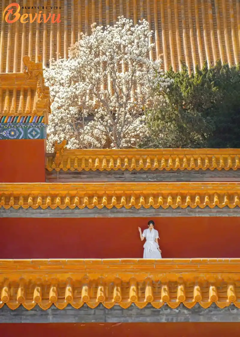 Tham quan Tử Cấm Thành Tử Cấm Thành - Bắc Kinh Trung Quốc