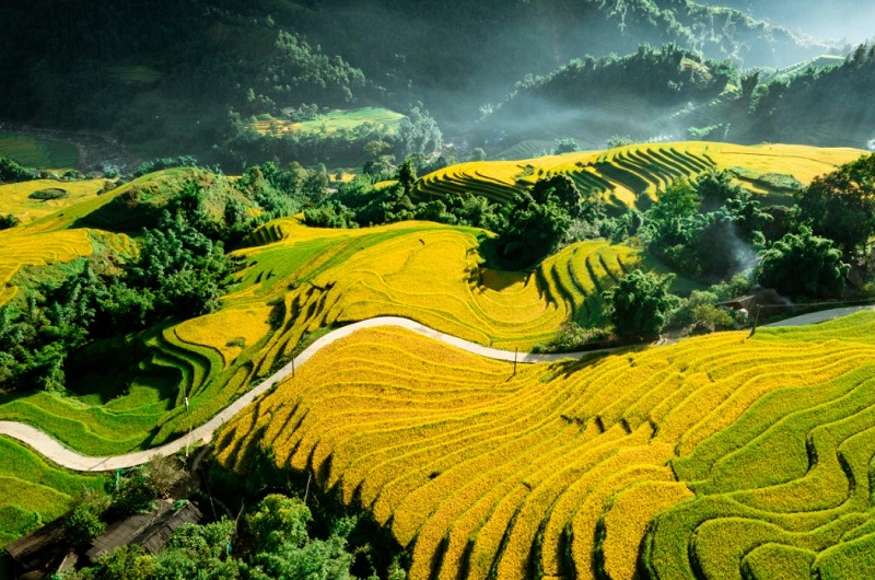 thiên nhiên sapa hoang sơ 