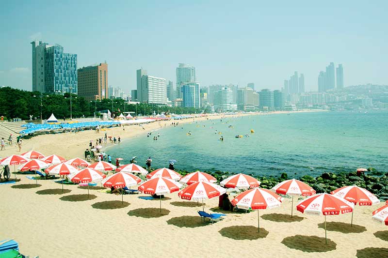 Bãi biển Haeundae xanh mướt