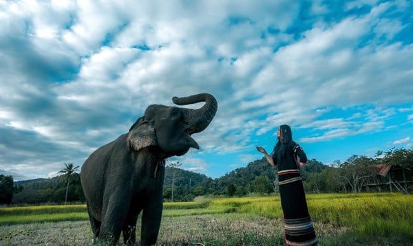 cảnh đẹp khu du lịch buôn đon