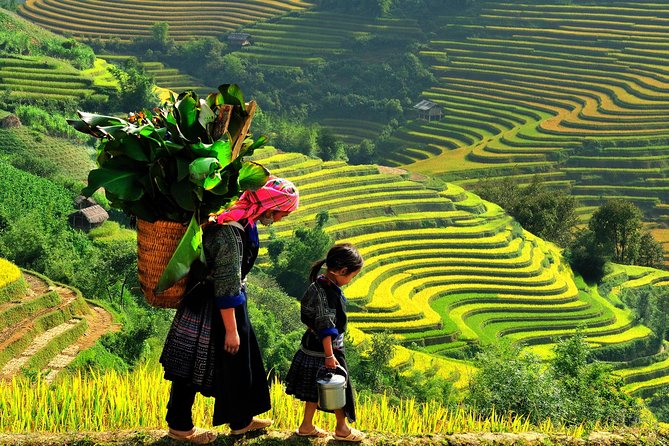 Ruộng bậc thang sapa