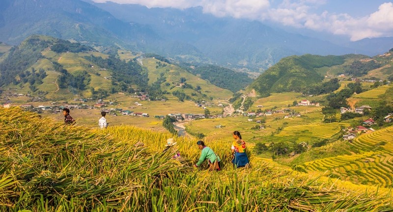 bí kíp chinh phục sapa