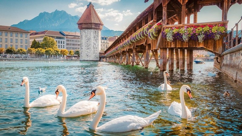 Hồ Luzern thơ mộng