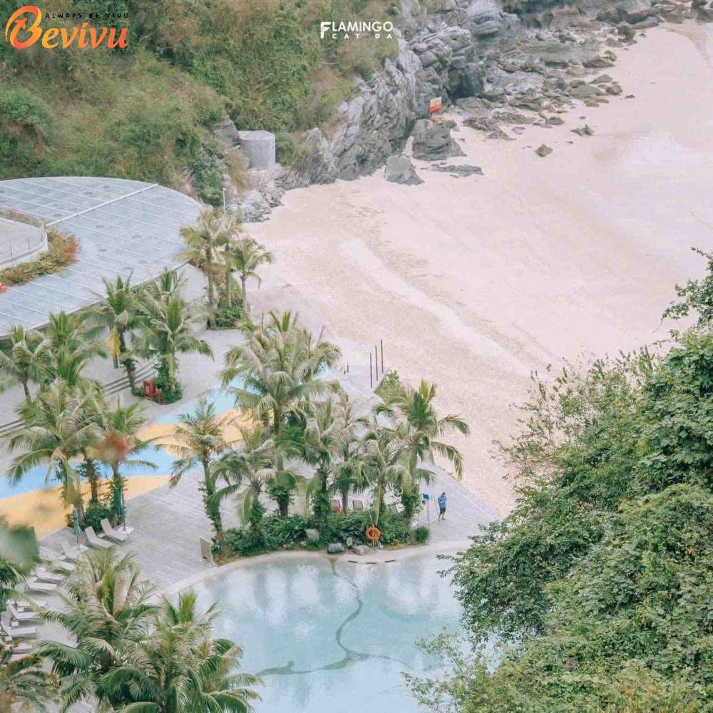Bể bơi Flamingo Cát Bà Bể bơi Flamingo Cát Bà