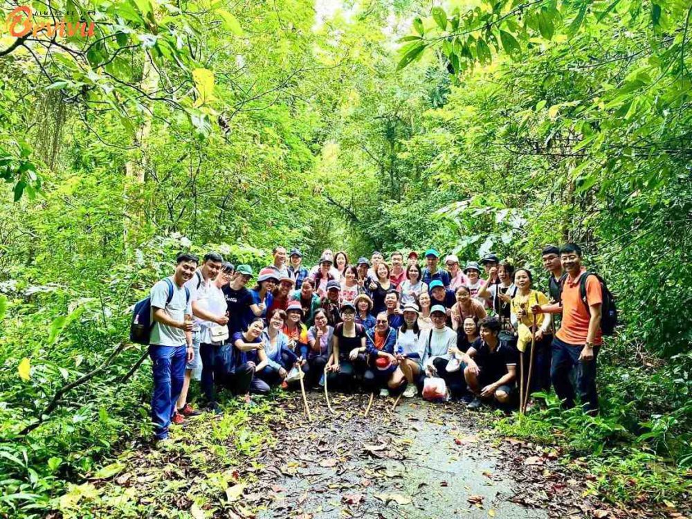 Treckking tại Cát Bà Treckking tại Cát Bà