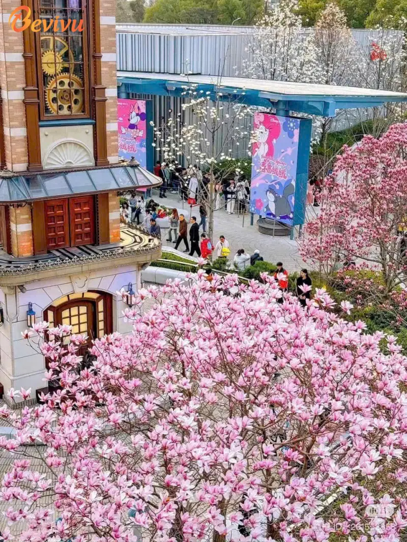 Mùa xuân tại Thượng Hải Du lịch thượng hải vào mùa xuân