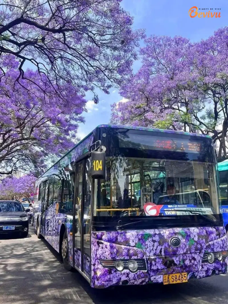 Phương tiện di chuyển bằng xe bus tại Côn Minh Phương tiện di chuyển khi đi du lịch Côn minh