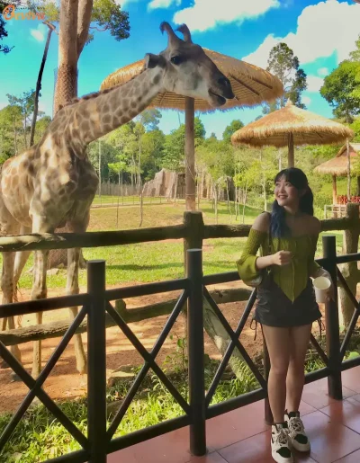 Safari Phú Quốc