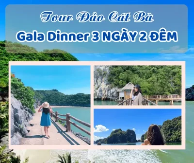 TOUR ĐẢO CÁT BÀ GALA DINNER 3 NGÀY 2 ĐÊM