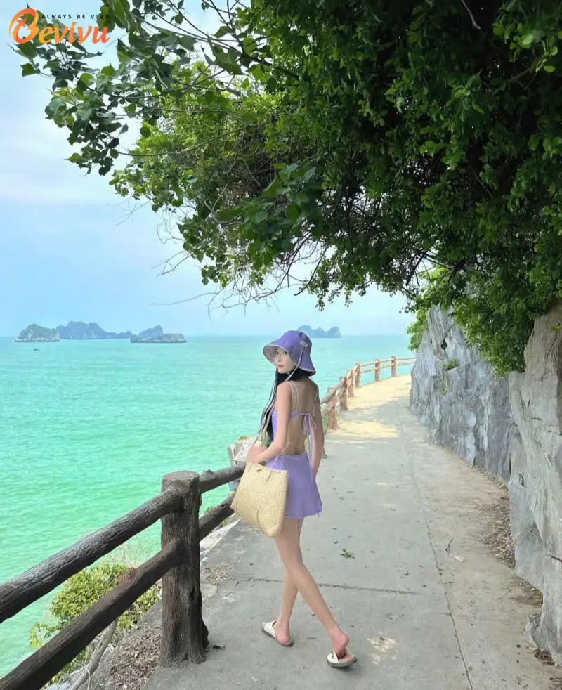 tổ chức tour du lịch teambuilding tại Cát Bà