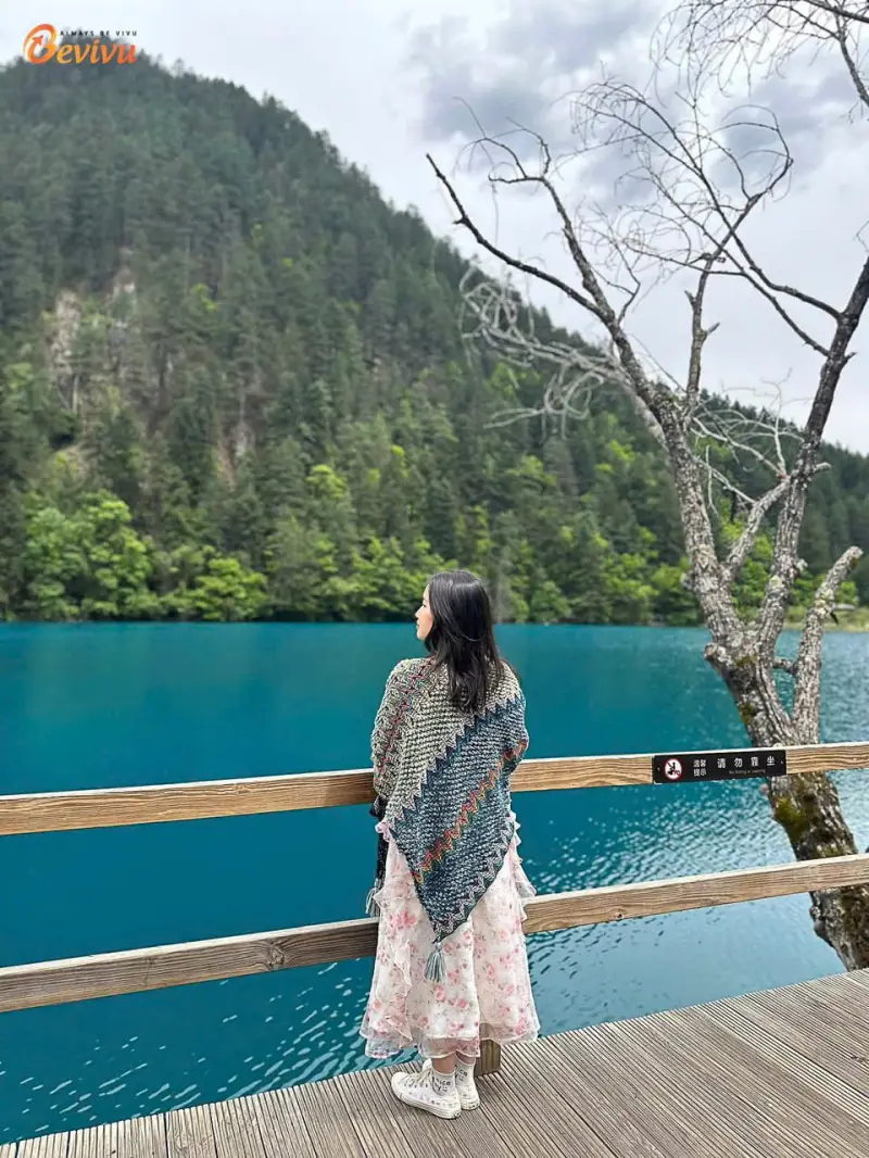 Du lịch Cửu Trại Câu sẽ là kỷ niệm đẹp kỷ niệm du lịch cửu Trại câu