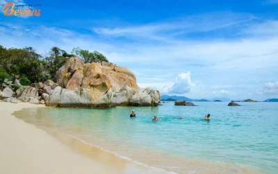 du lịch đảo cát bà 2025