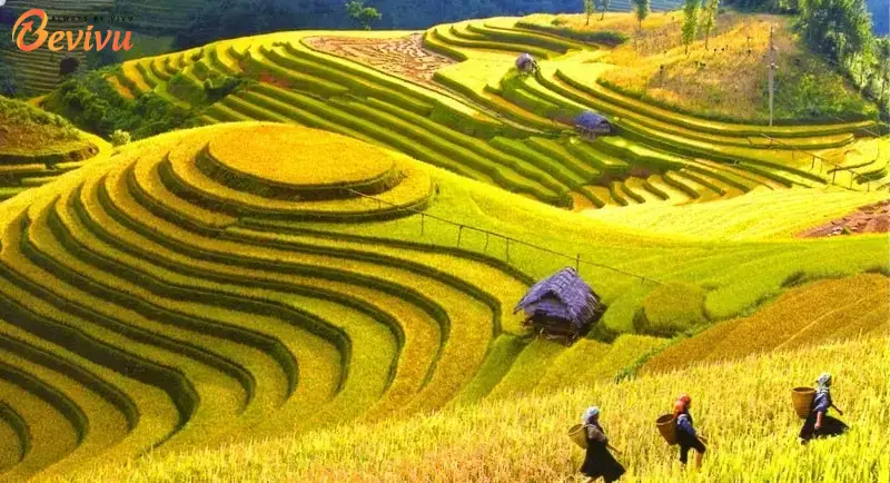 du lịch tour Hà Nôi- điện biên