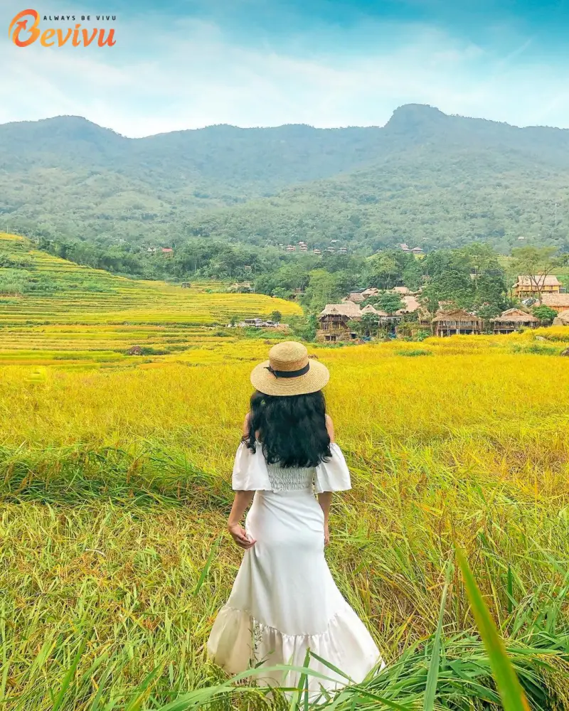 tour du lịch teambuilding tại Mai Châu