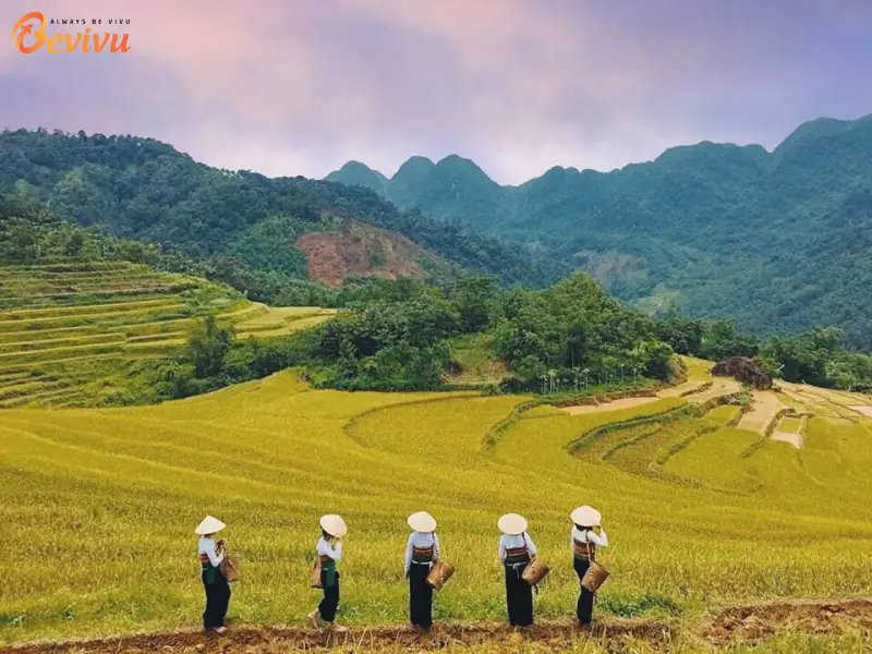 check-in tour mai châu bản lác