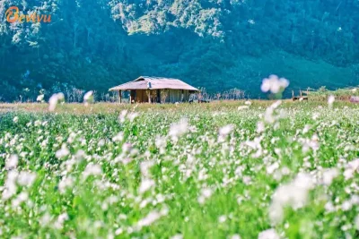 du lịch tour mộc châu