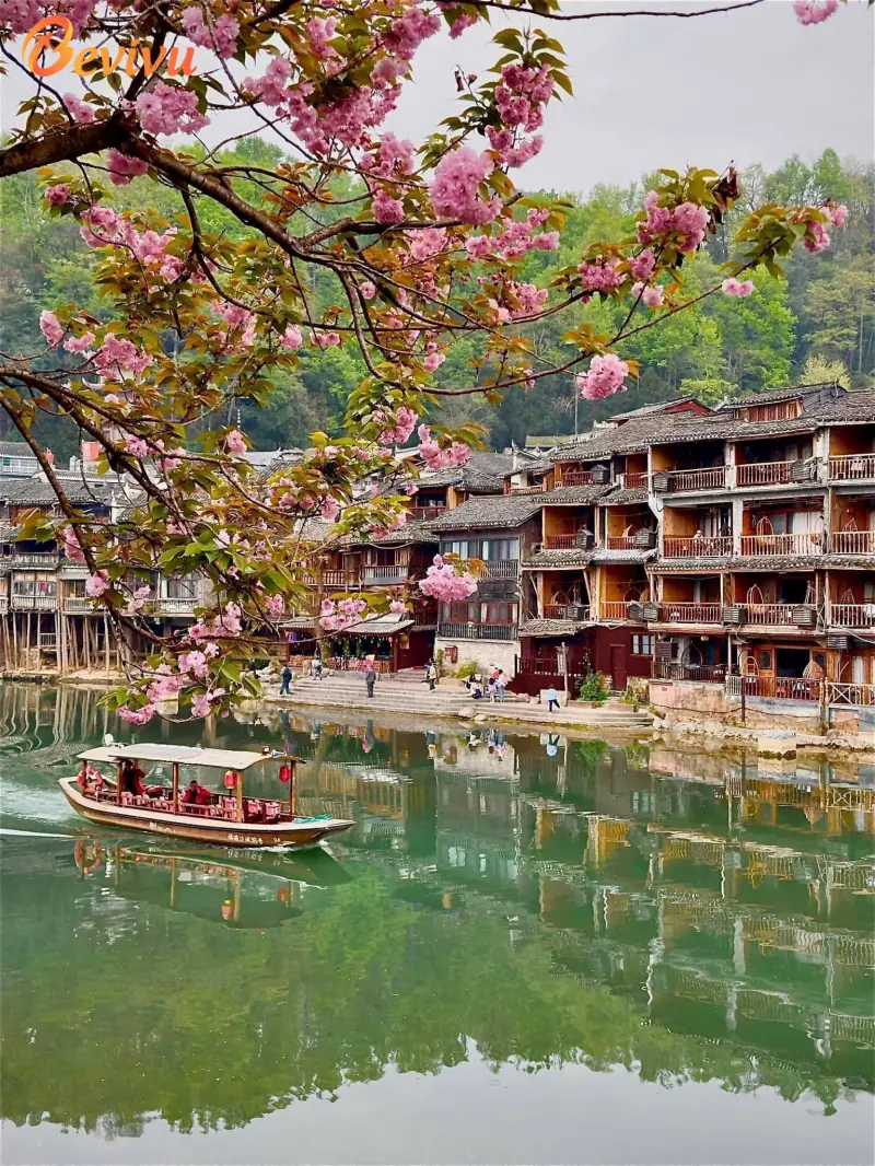 Phượng Hoàng Cổ Trấn bừng tỉnh trong sắc hoa xuân. du lịch Phượng Hoàng cổ Trấn vào mùa xuân