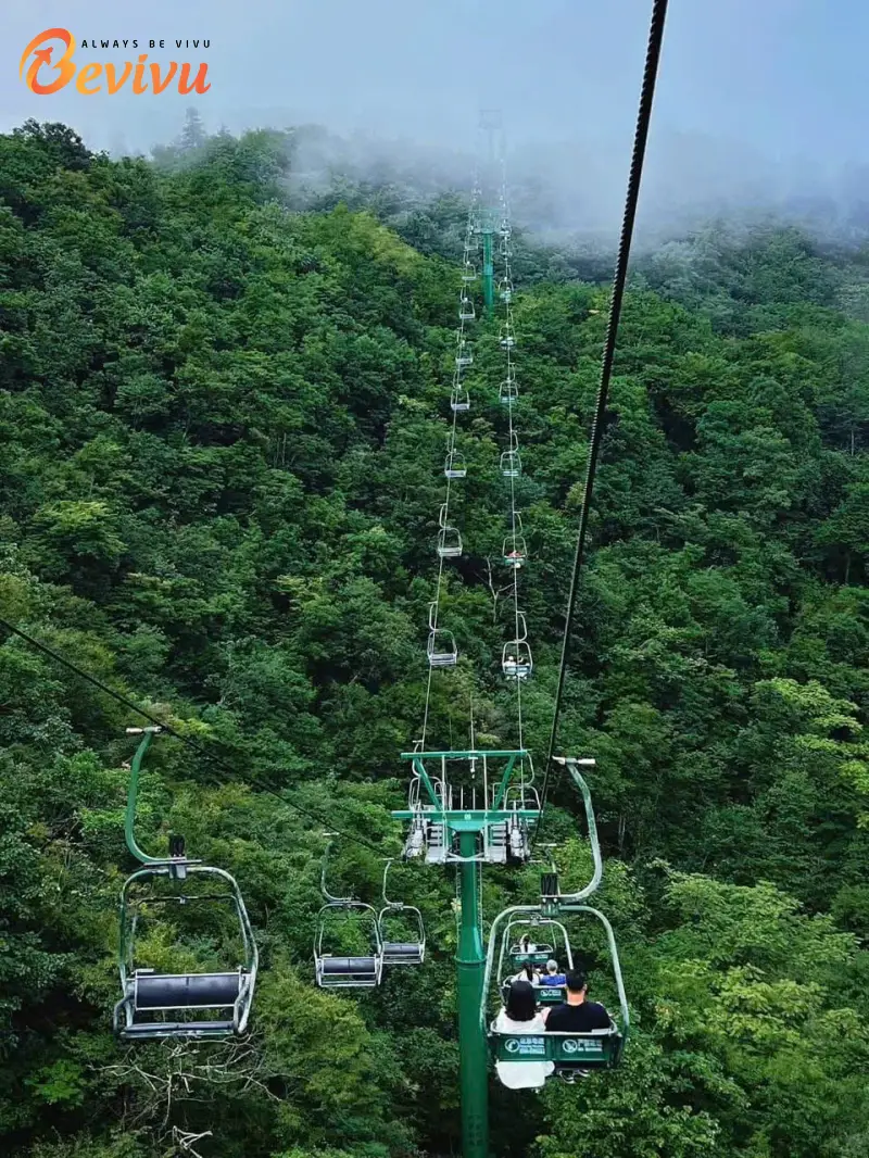 Trải nghiệm đi cáp treo tại Thiên Môn Sơn du khách trải nghiệm đi cáp treo du lịch trương gia giới
