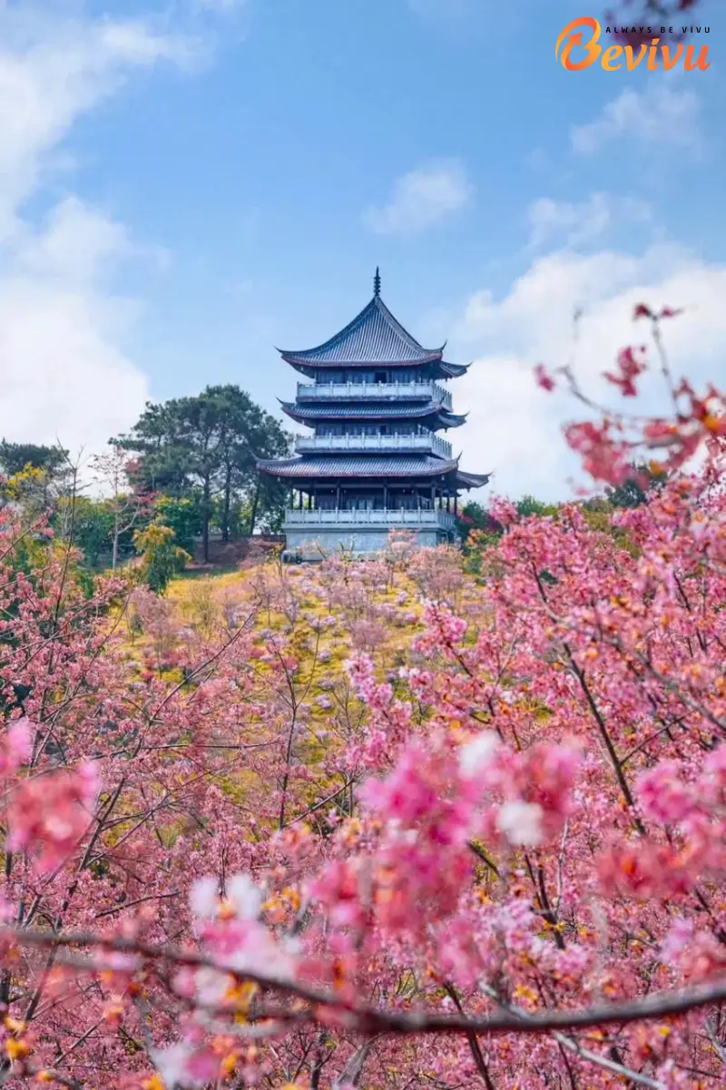 Khung cảnh thiên nhiên rực rỡ tại Thanh Tú Sơn du lịch tour trung Quốc tại Thanh Tú Sơn