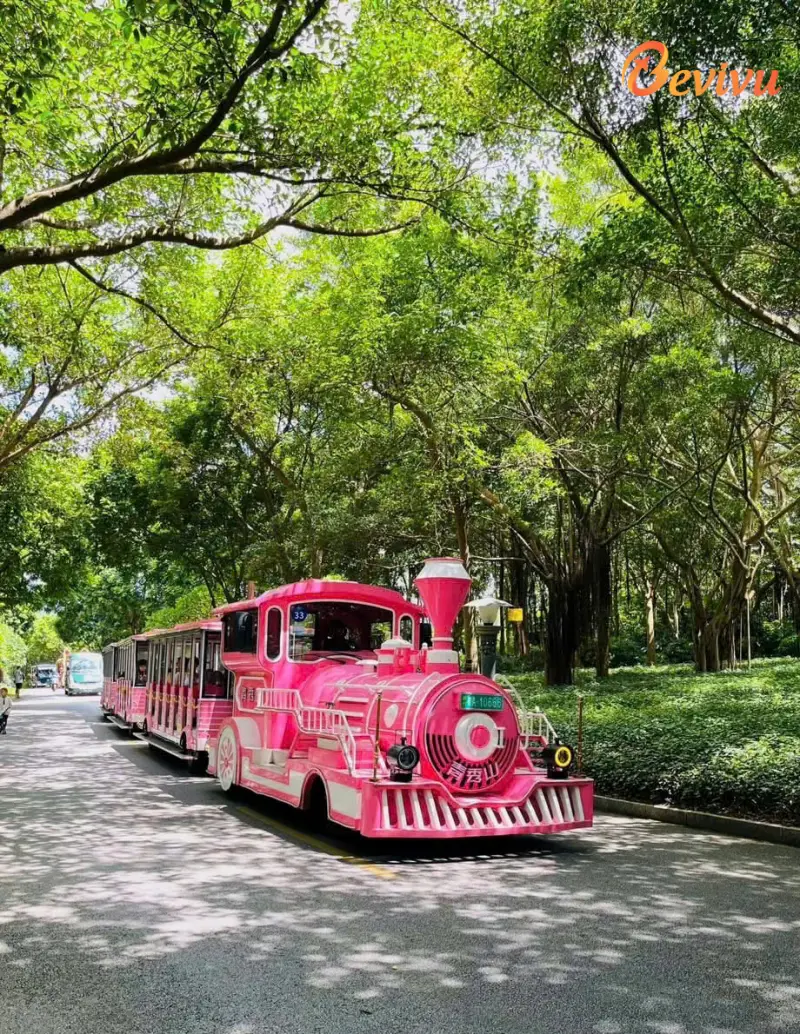 Phương tiện di chuyển tại Thanh Tú Sơn Phương tiện du lịch Thanh Tú Sơn