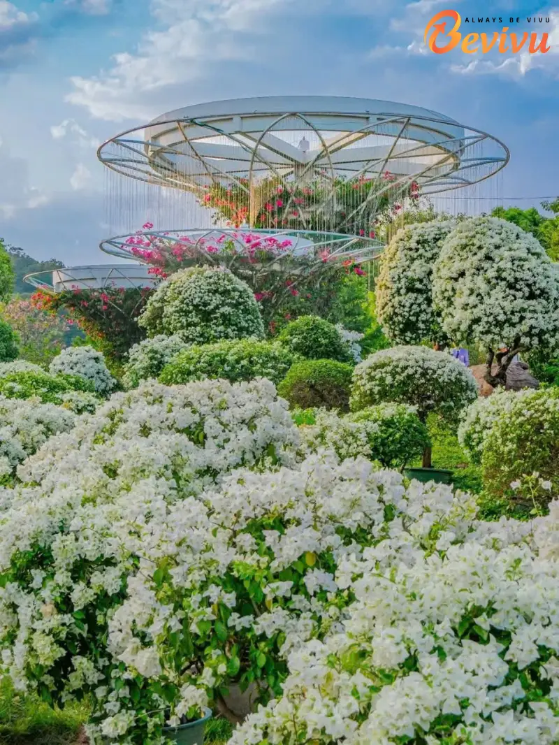 Khung cảnh tuyệt đẹp tại Thanh Tú Sơn du lịch thanh tú sơn