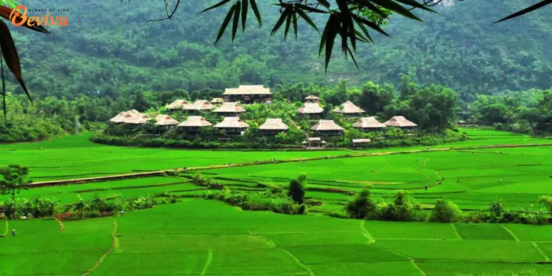 Mai Châu Ecolodge Địa điểm nghỉ dưỡng tại Mai Châu Ecolodge