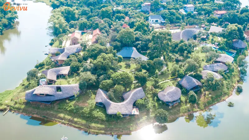 Tomodachi Retreat – Làng Mít Địa điểm nghỉ dưỡng tại Tomodachi Retreat