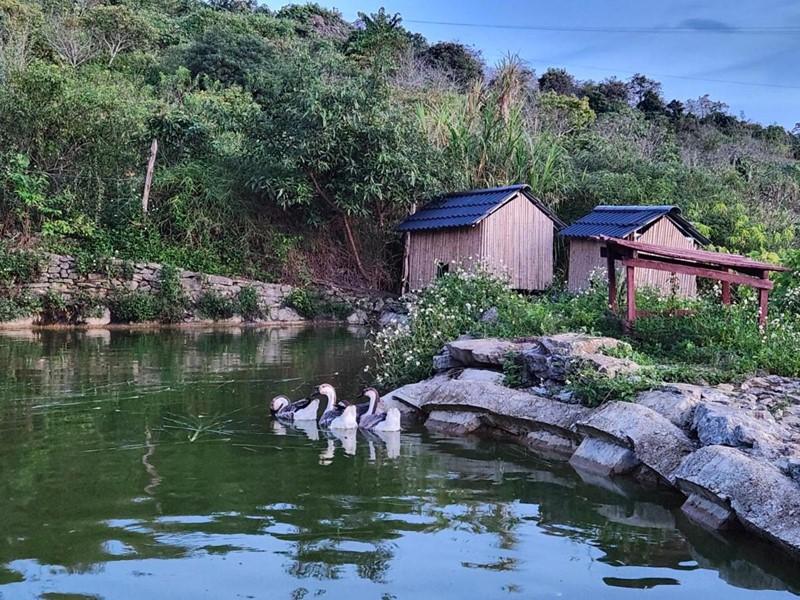 Tour du lịch