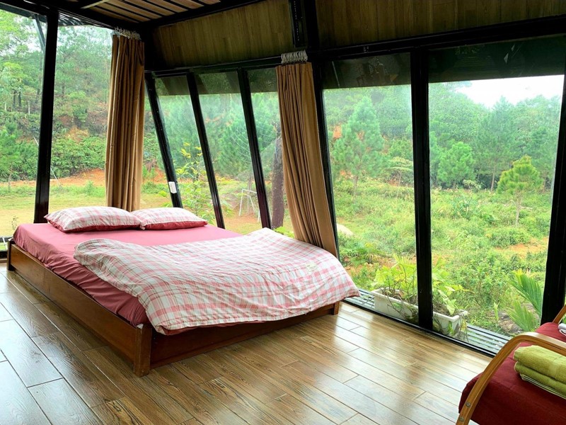 bungalow nhà kính có view rừng cao